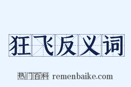 狂飞反义词是什么意思的图片